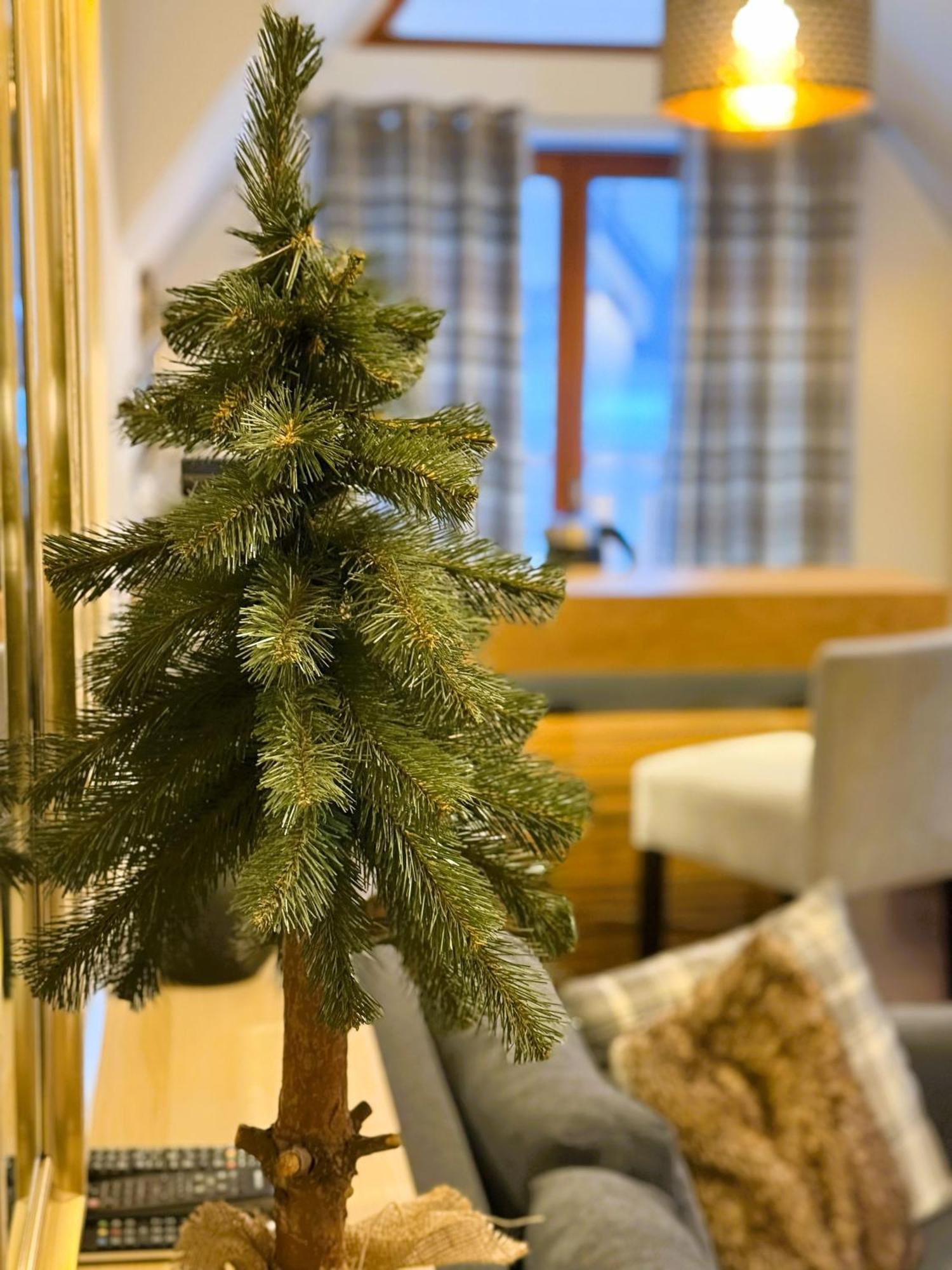 Apartament Glamour I Zakopane Kültér fotó