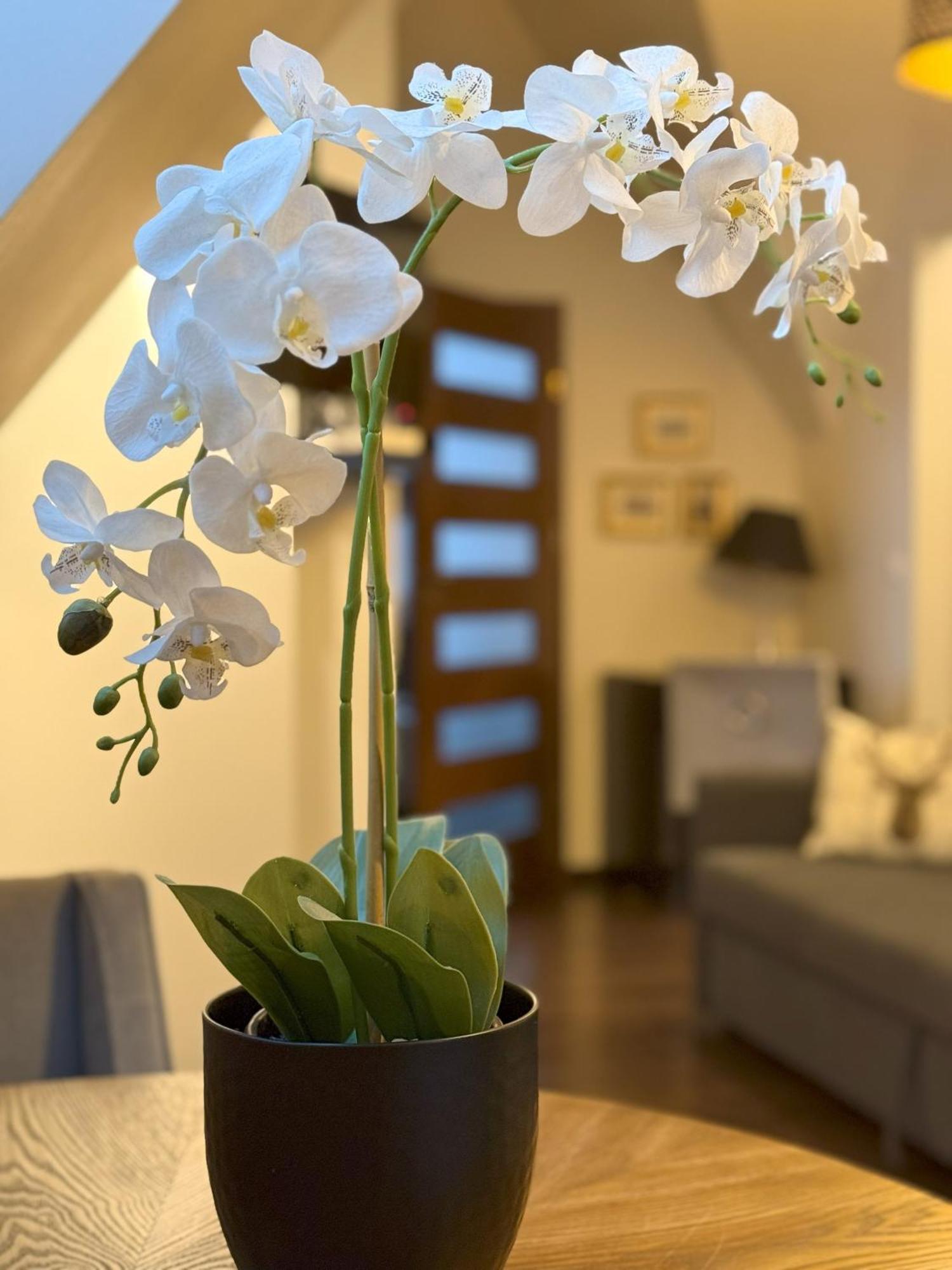 Apartament Glamour I Zakopane Kültér fotó