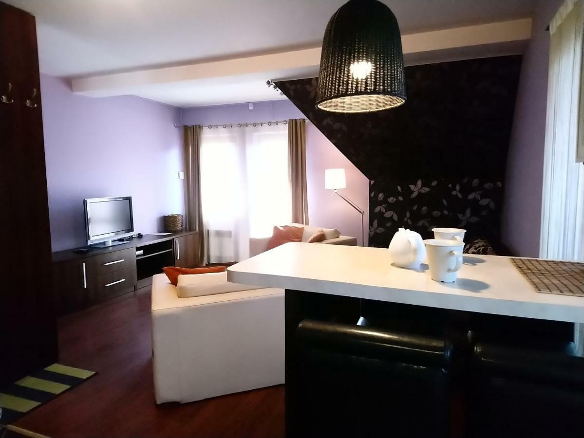 Apartament Glamour I Zakopane Kültér fotó